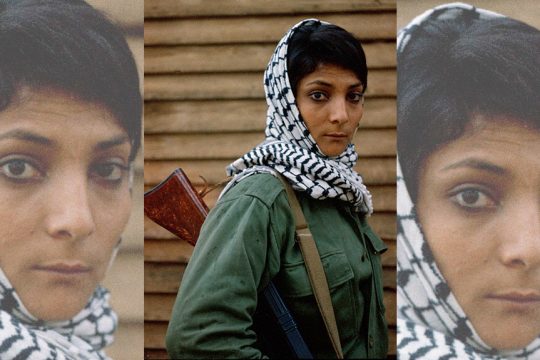 leila haled